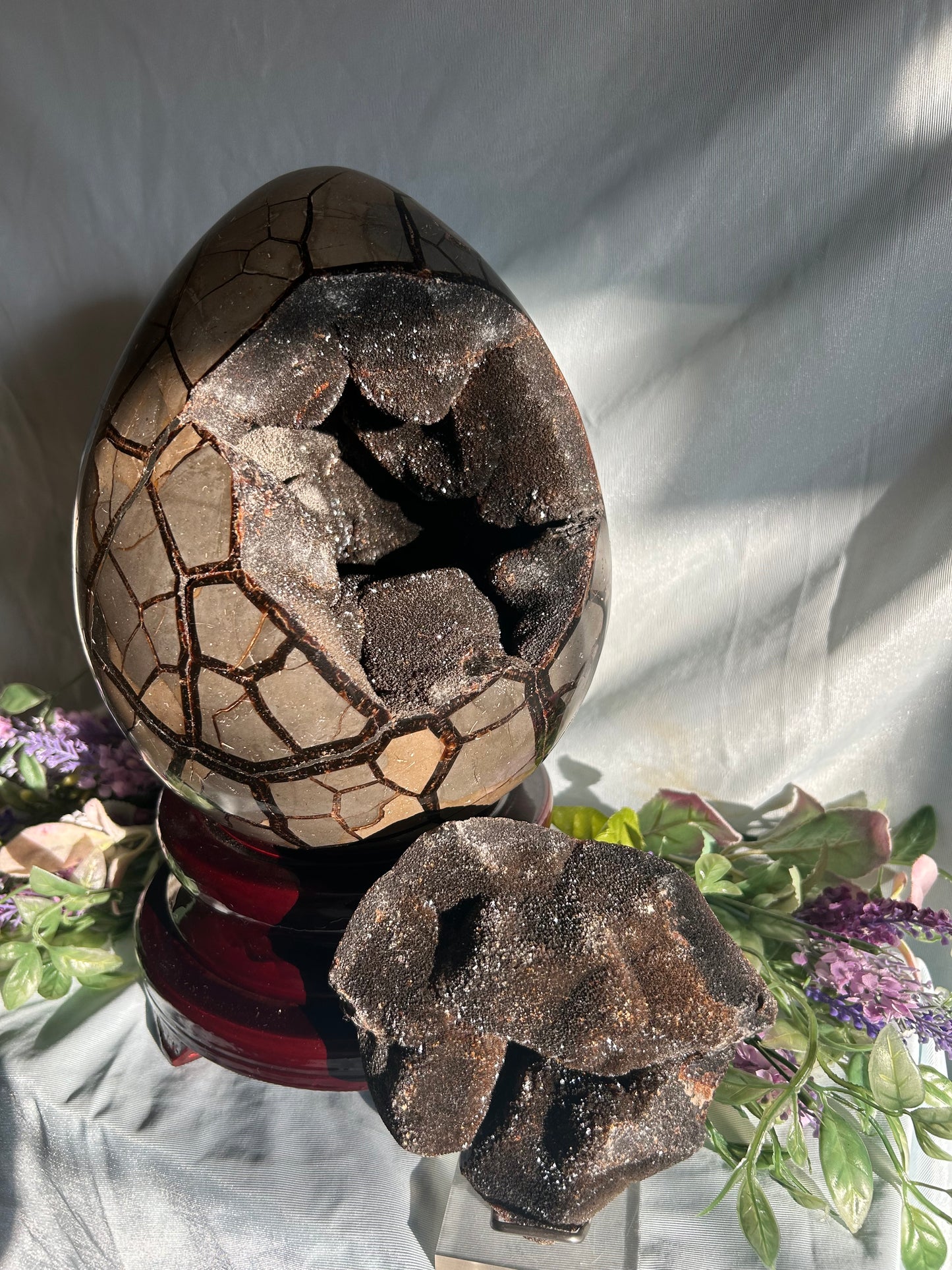 SEPTARIAN DRUZY EGG
