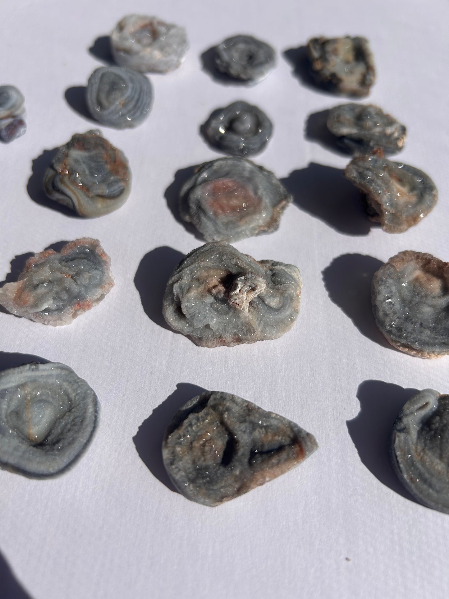 CHALCEDONY ROSES FROM URUGUAY