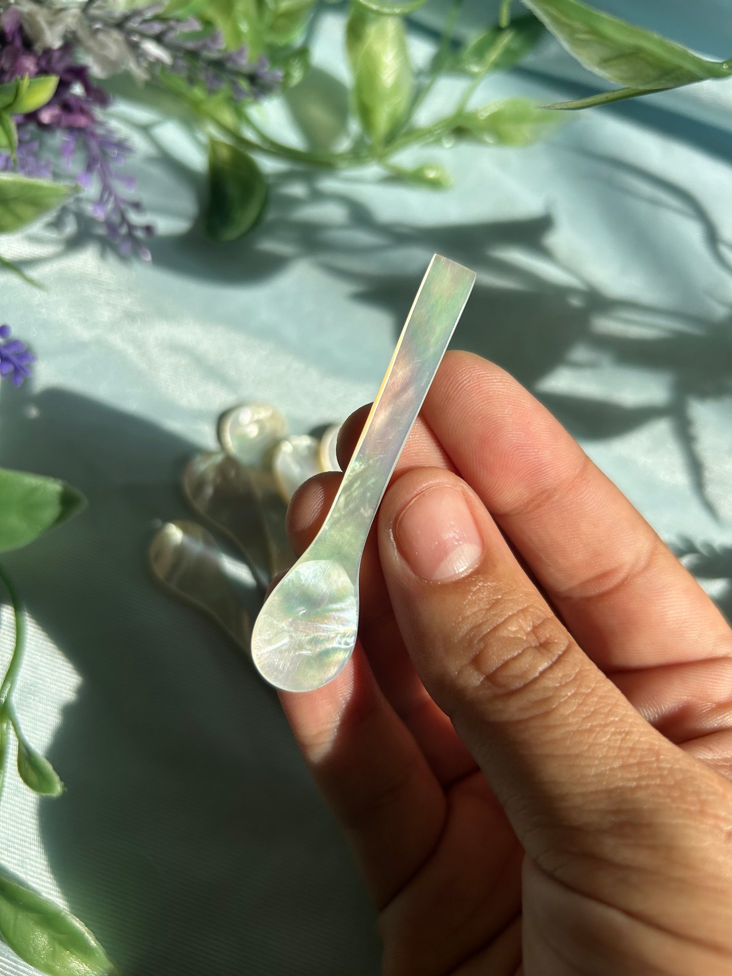 ABALONE SHELL SPOONS