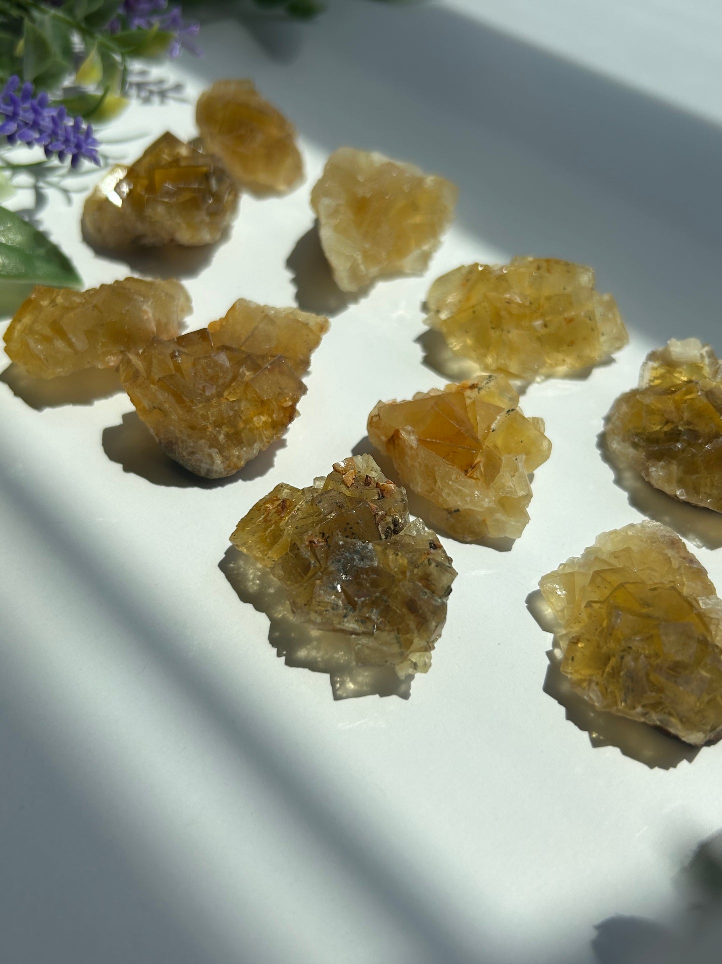 GOLDEN YELLOW FLUORITE SPECIMENS (from the Moscona Mine, Spain)