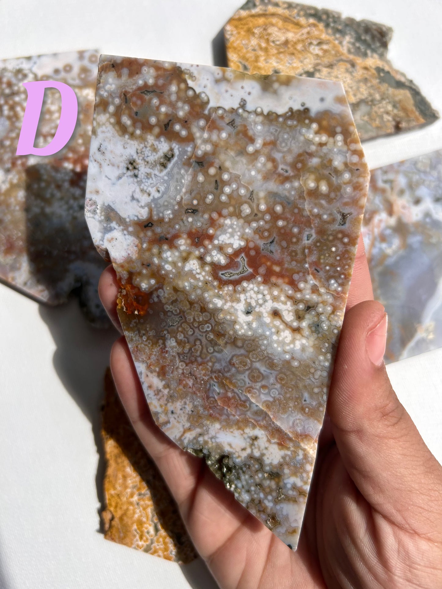 ORBICULAR OCEAN JASPER SLABS