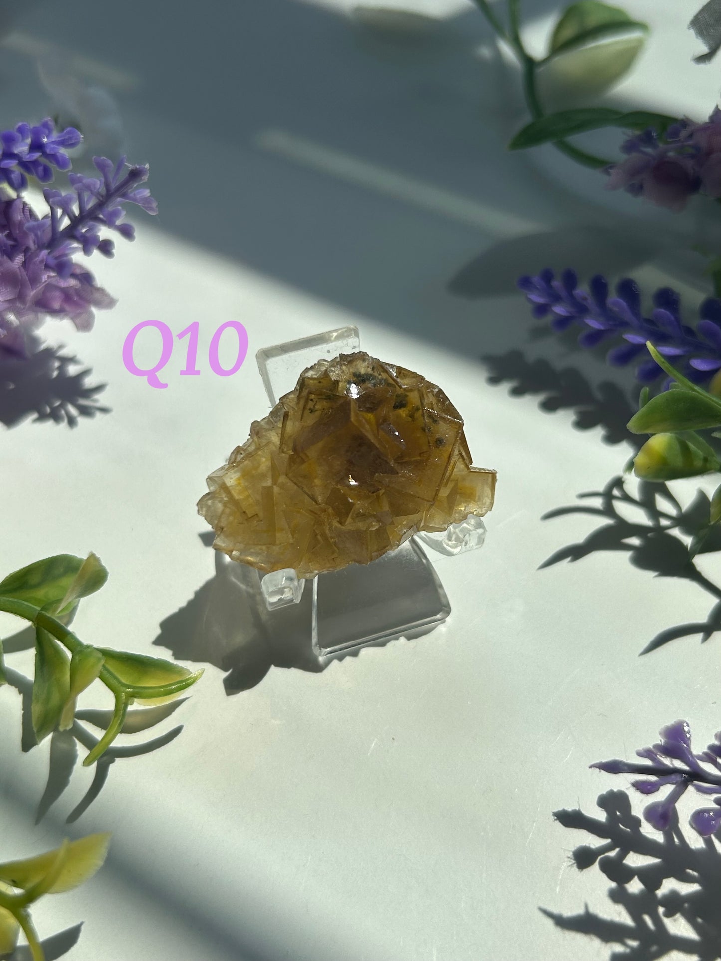 GOLDEN YELLOW FLUORITE SPECIMENS (from the Moscona Mine, Spain)