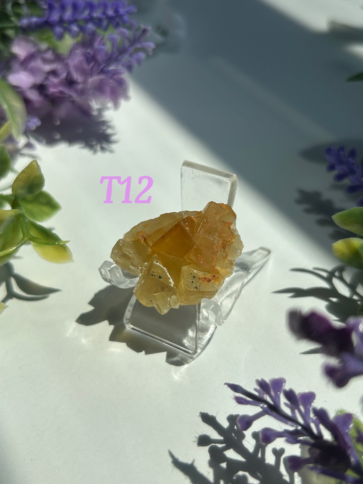 GOLDEN YELLOW FLUORITE SPECIMENS (from the Moscona Mine, Spain)