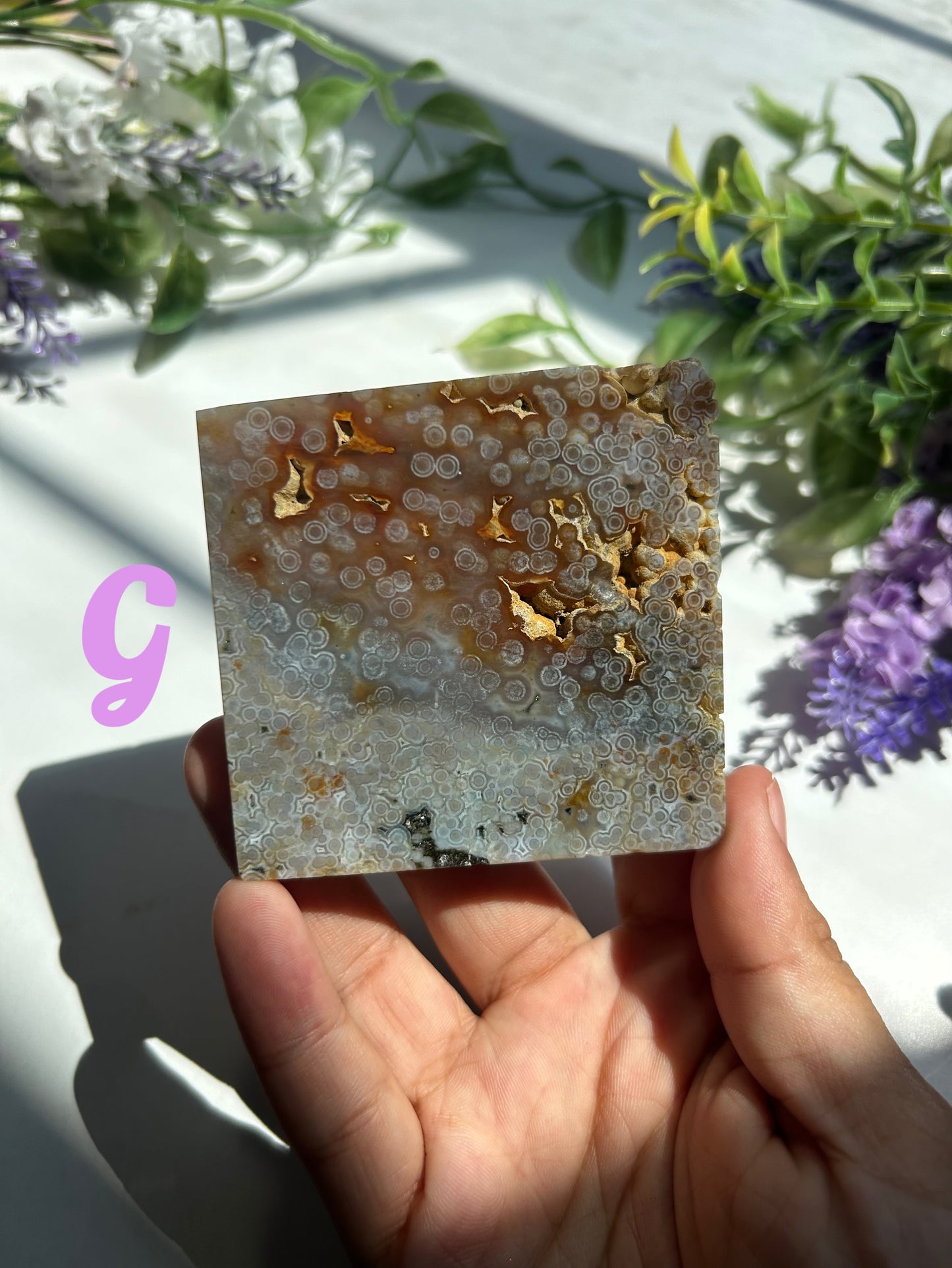 ORBICULAR OCEAN JASPER SLABS
