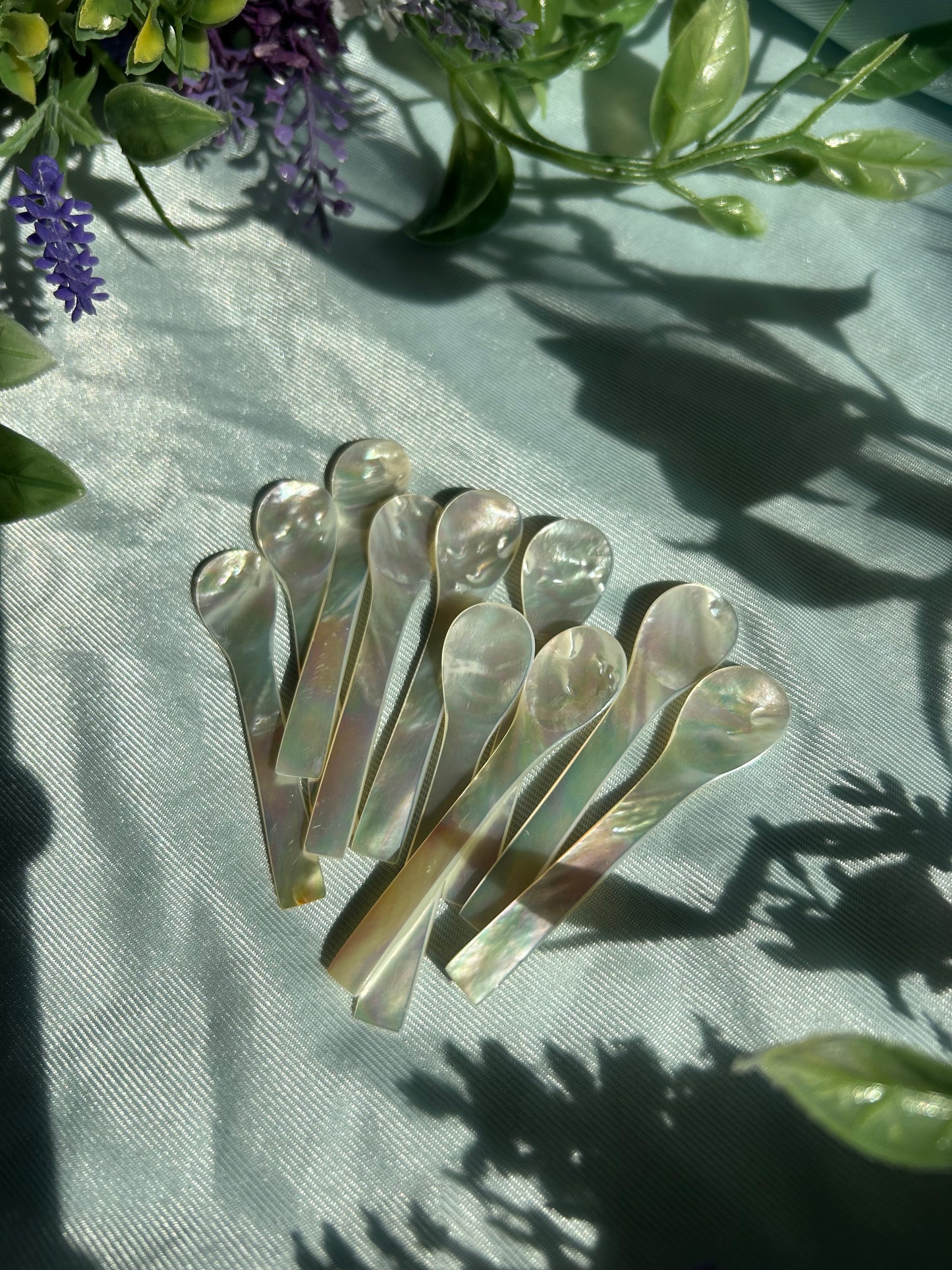 ABALONE SHELL SPOONS