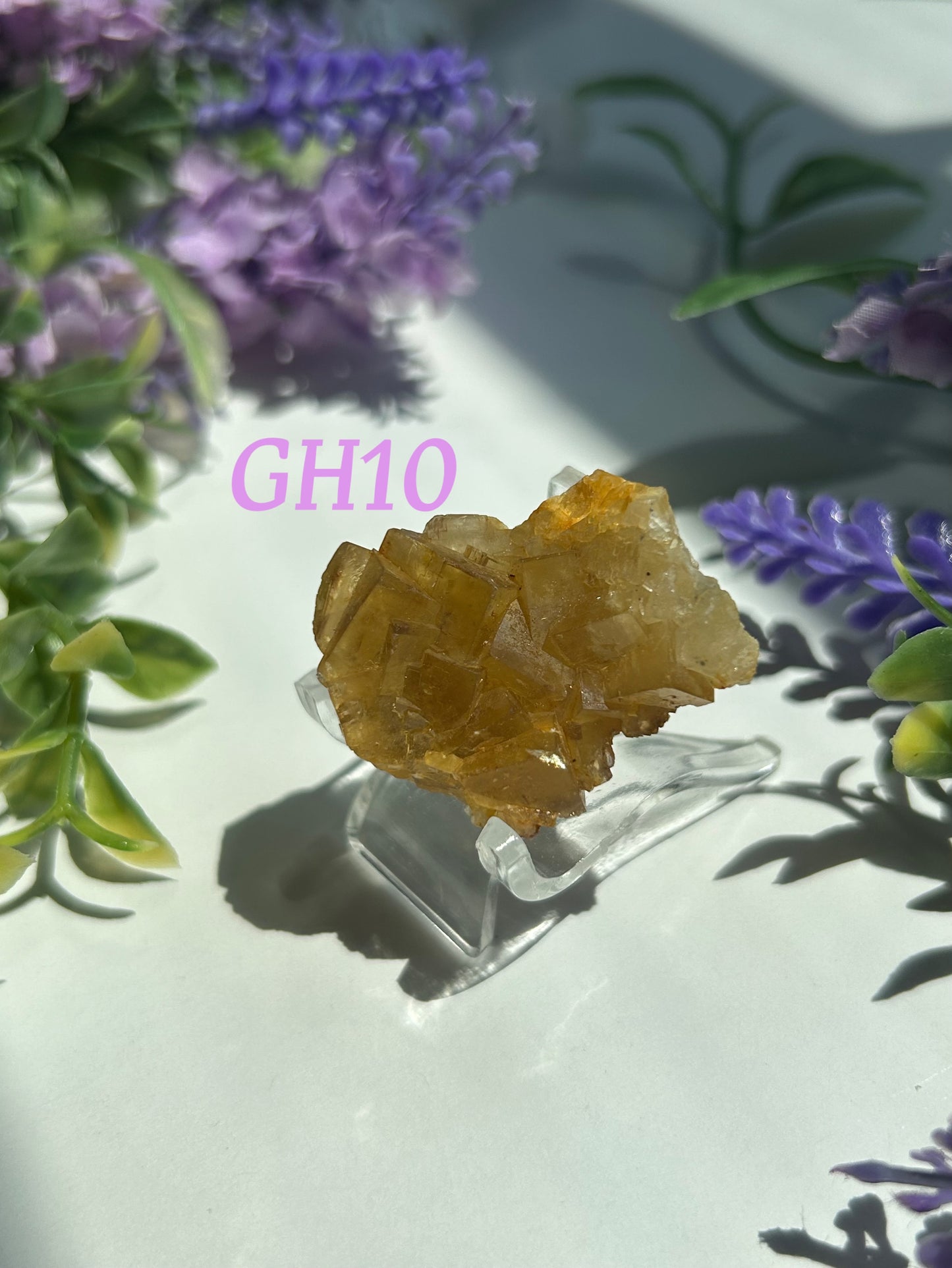 GOLDEN YELLOW FLUORITE SPECIMENS (from the Moscona Mine, Spain)