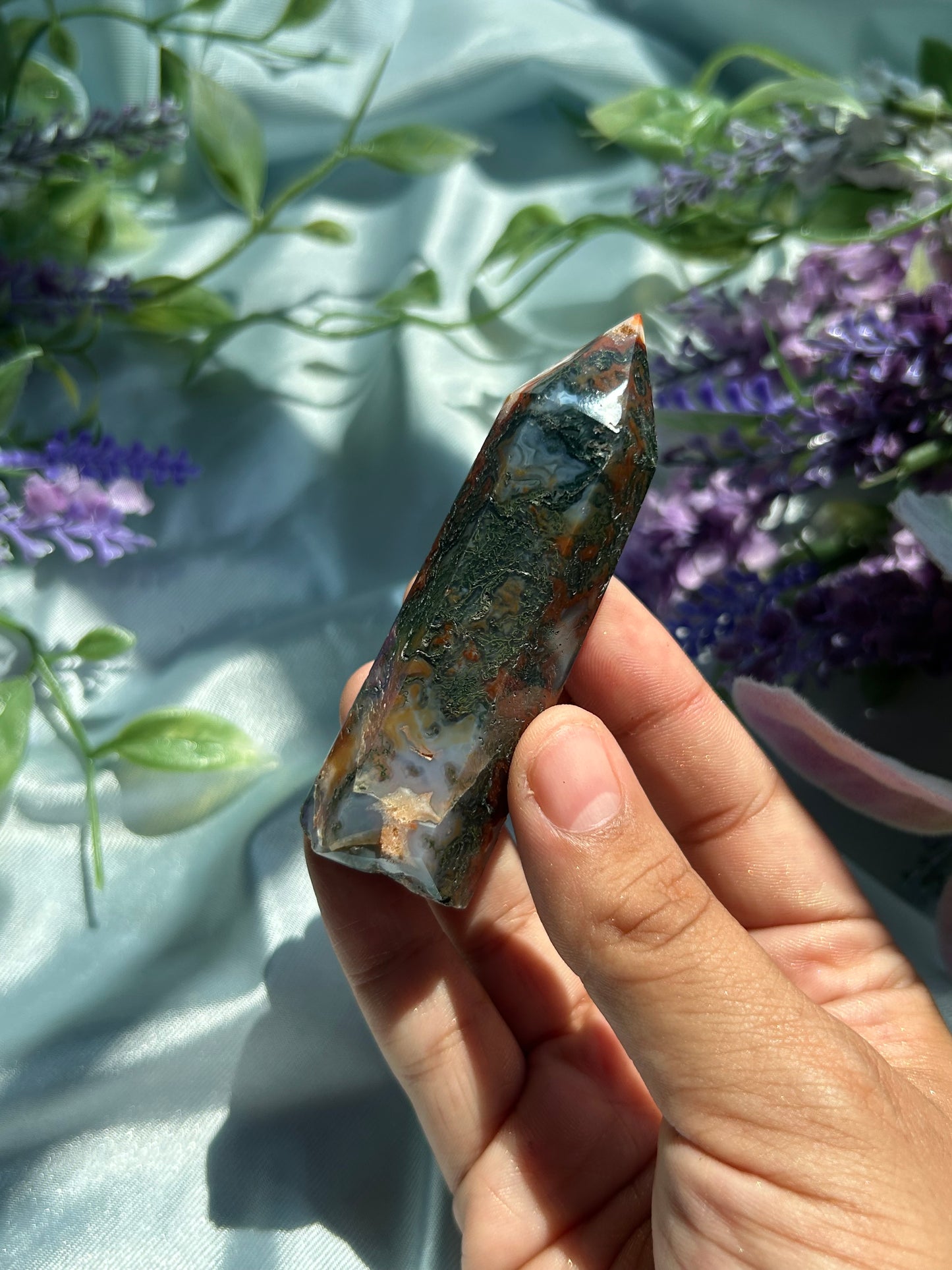 CHRYSALIS•COLLECTION