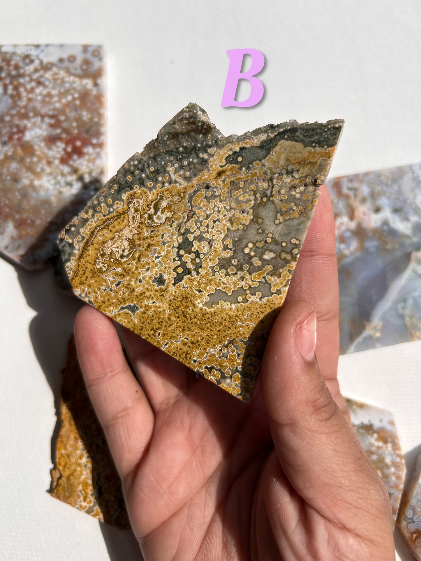 ORBICULAR OCEAN JASPER SLABS