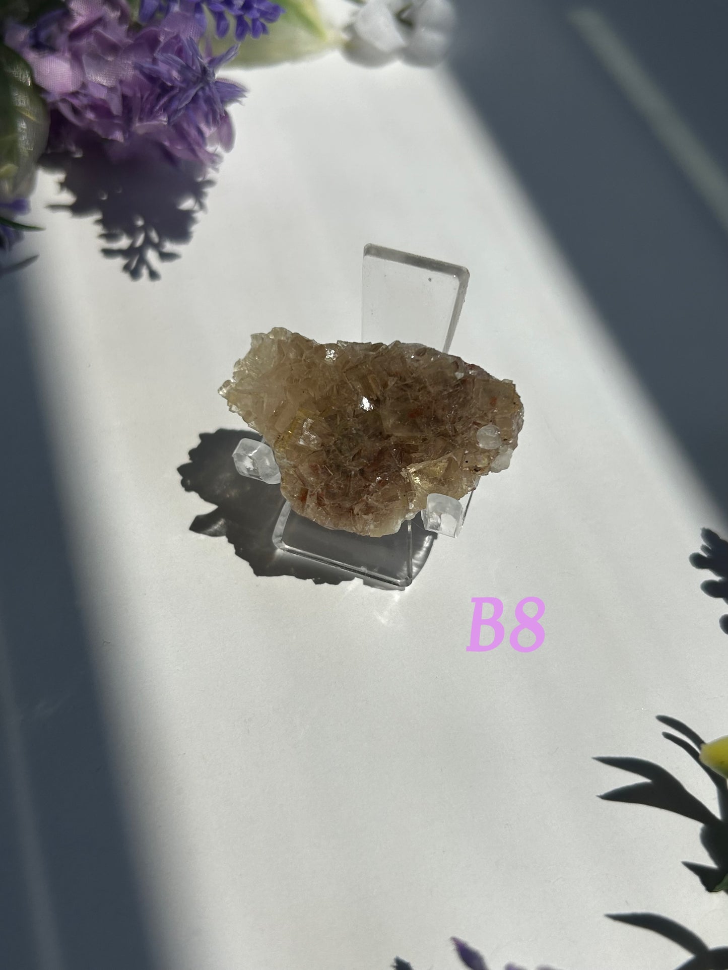 GOLDEN YELLOW FLUORITE SPECIMENS (from the Moscona Mine, Spain)