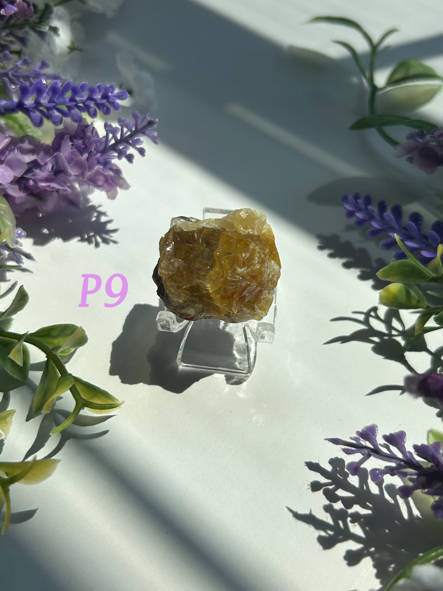 GOLDEN YELLOW FLUORITE SPECIMENS (from the Moscona Mine, Spain)