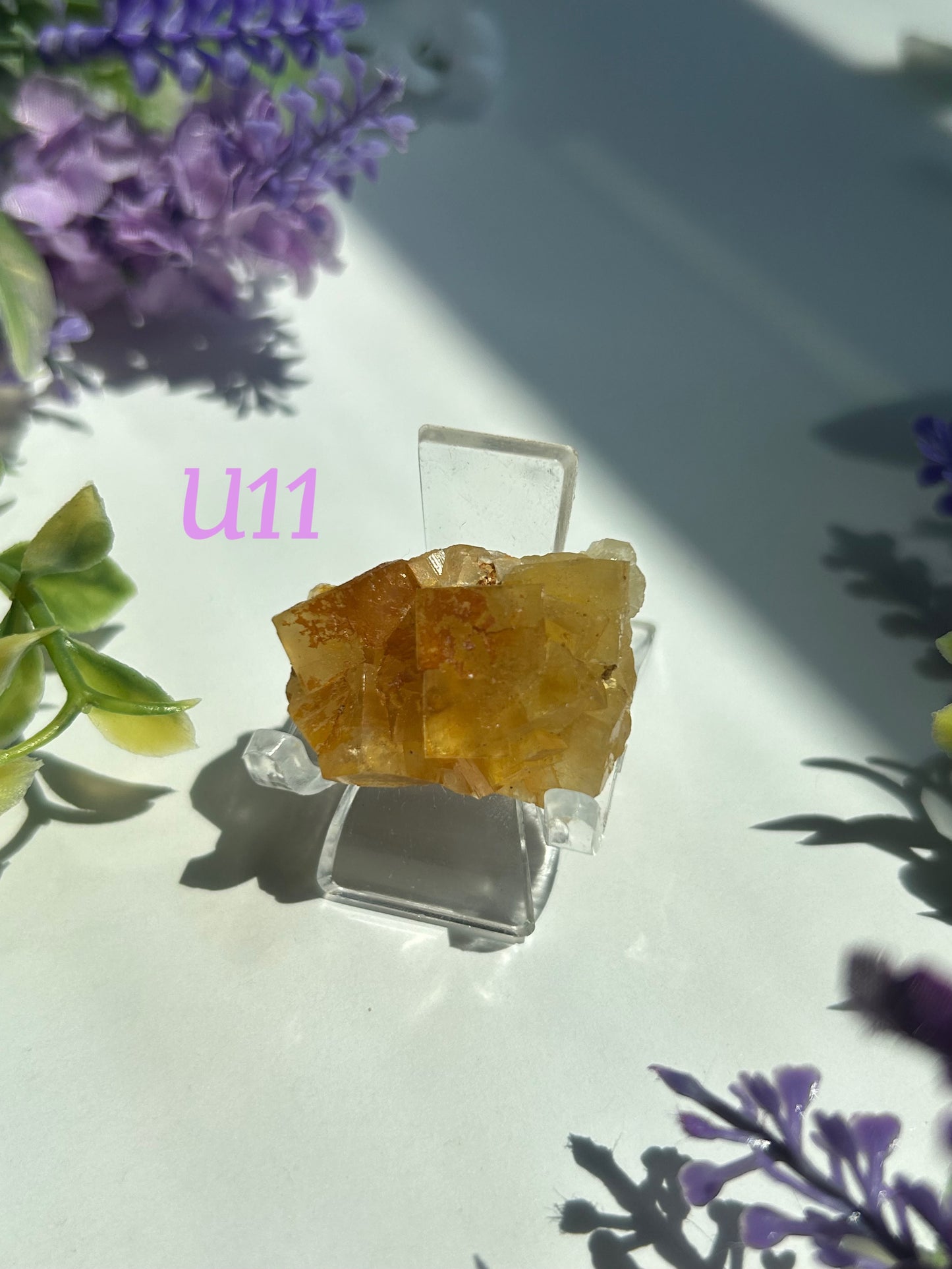 GOLDEN YELLOW FLUORITE SPECIMENS (from the Moscona Mine, Spain)