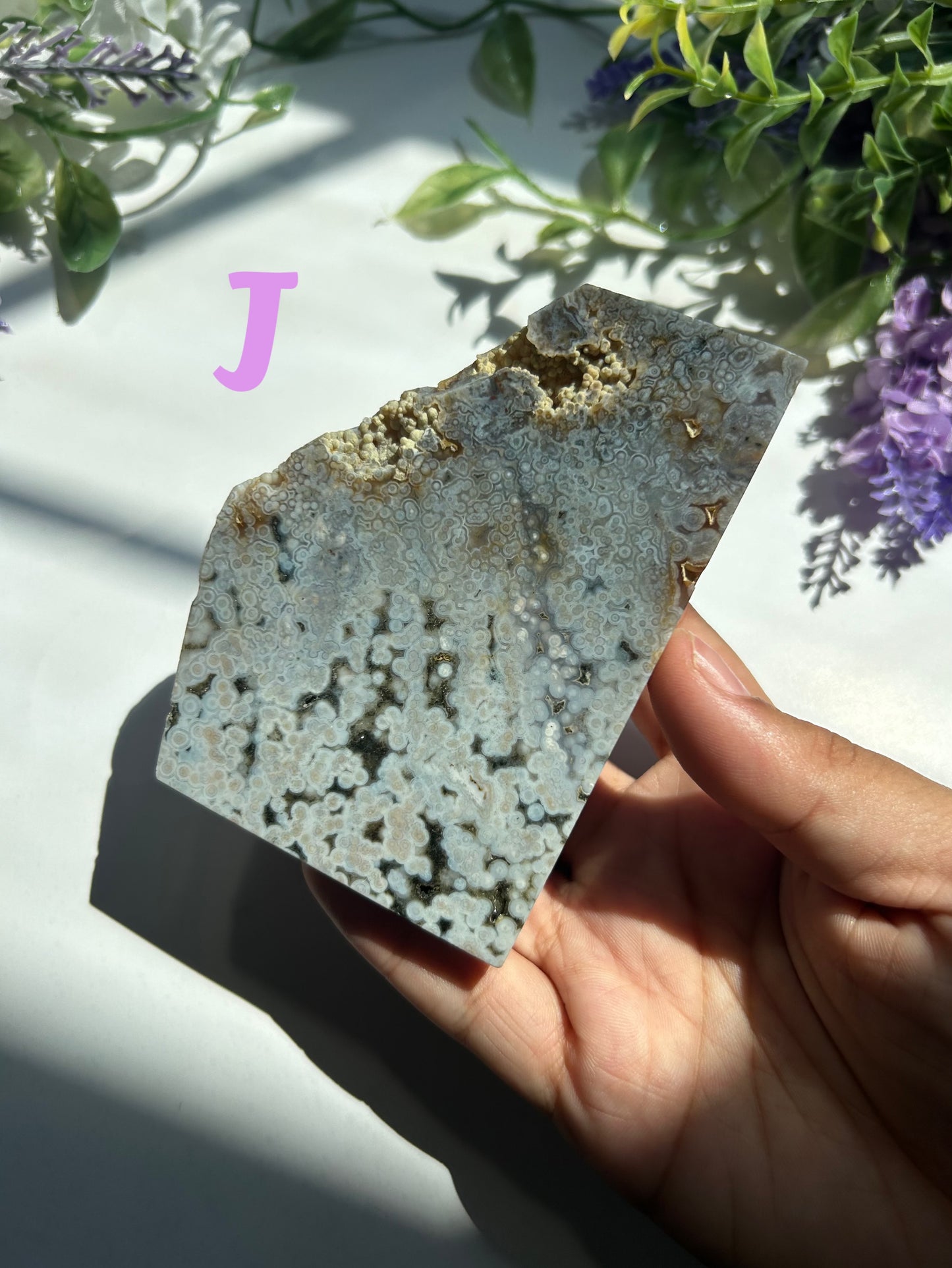 ORBICULAR OCEAN JASPER SLABS