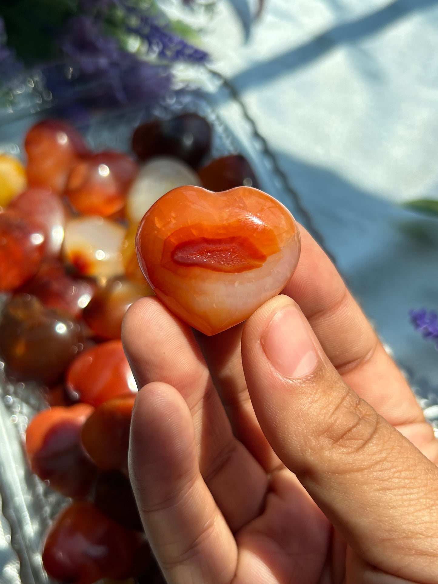CARNELIAN HEARTS