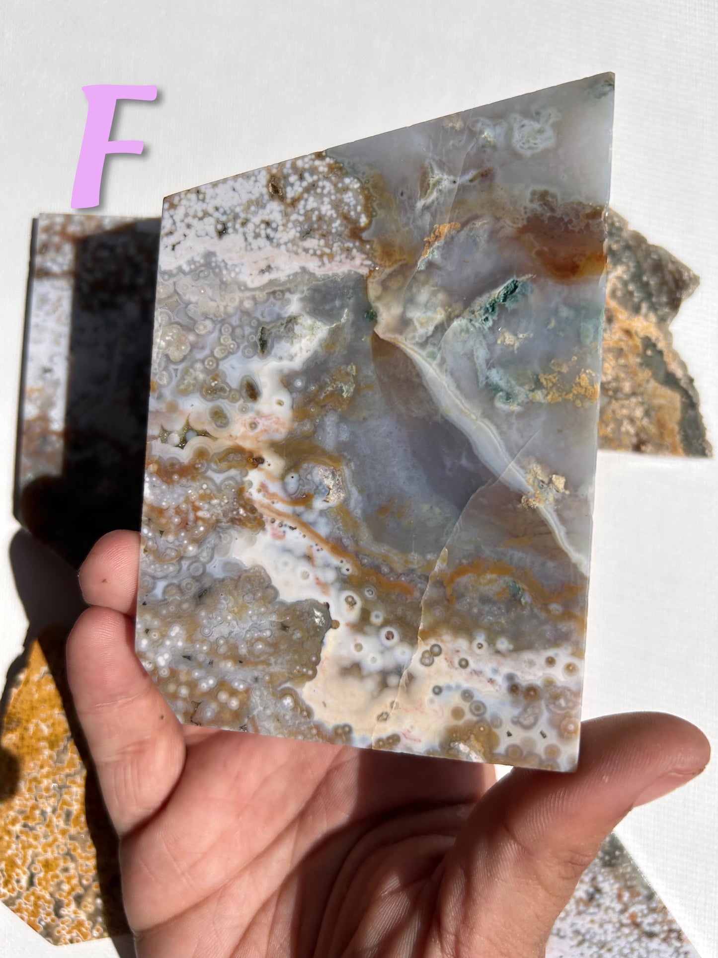 ORBICULAR OCEAN JASPER SLABS