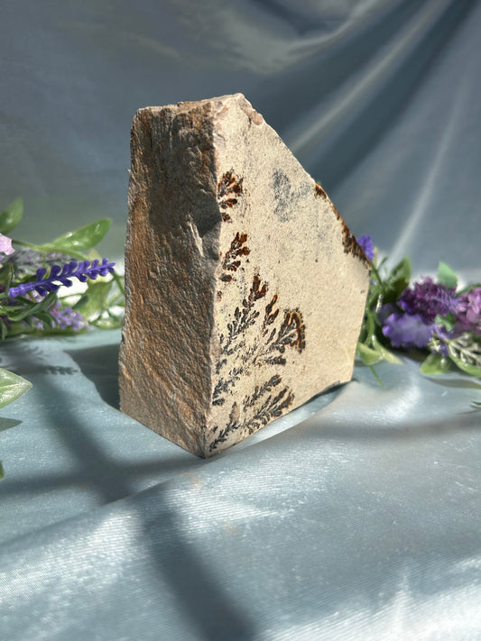 RAW DENDRITIC PICTURE JASPER SLAB