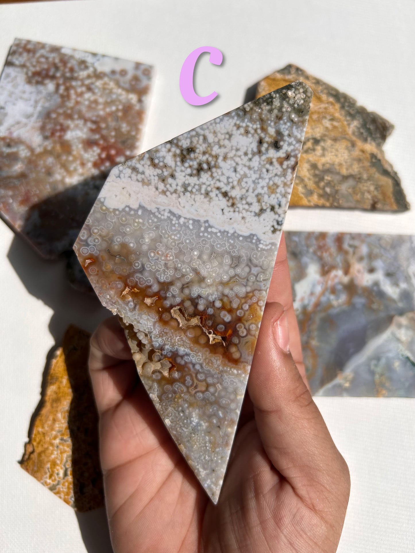 ORBICULAR OCEAN JASPER SLABS