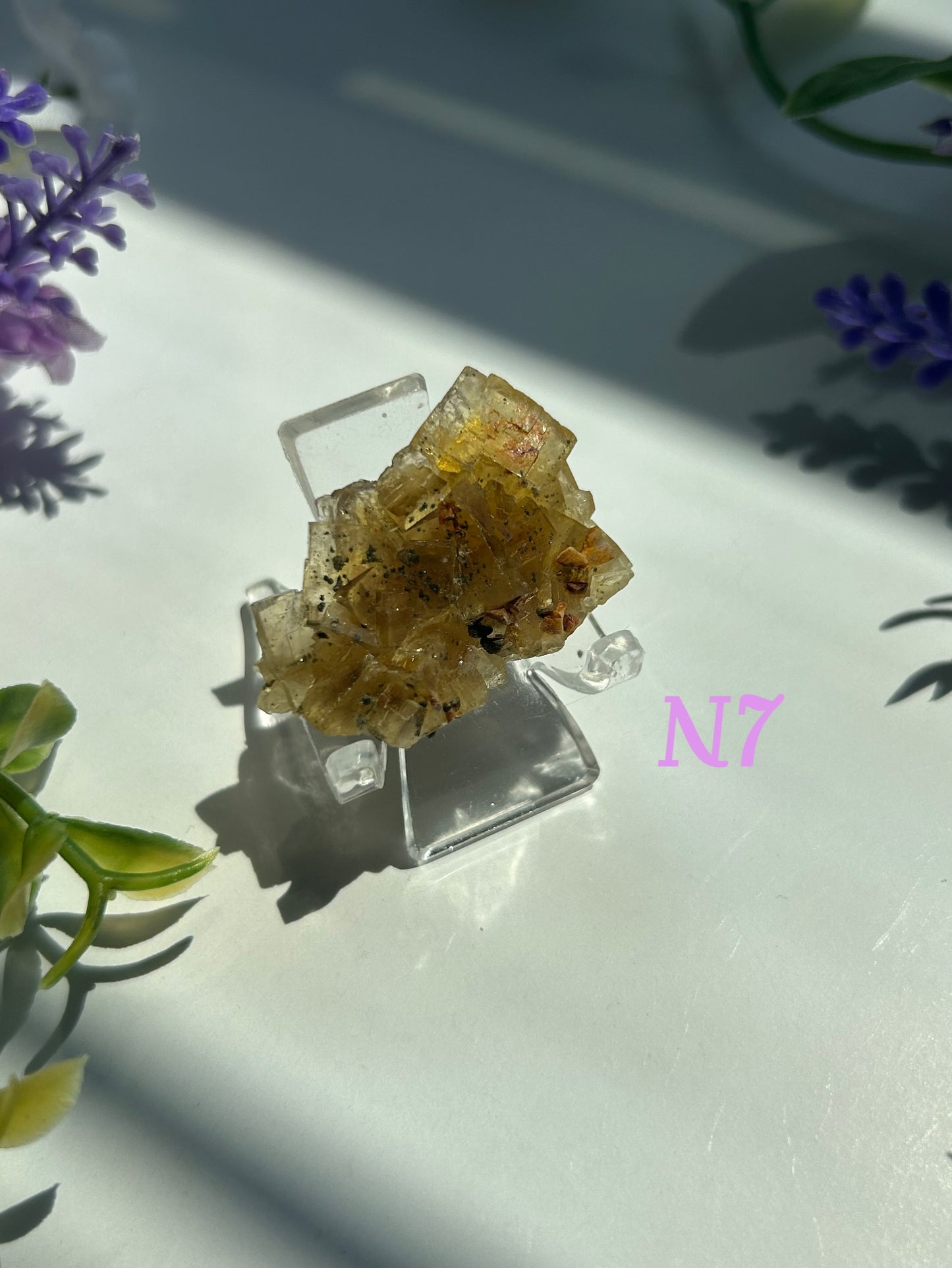 GOLDEN YELLOW FLUORITE SPECIMENS (from the Moscona Mine, Spain)