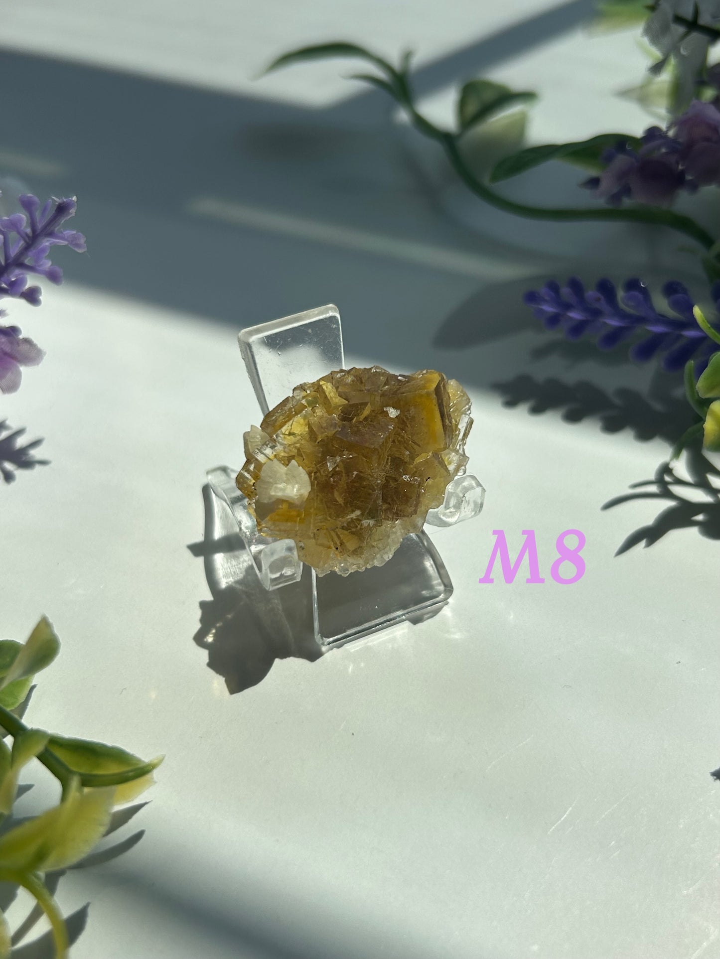 GOLDEN YELLOW FLUORITE SPECIMENS (from the Moscona Mine, Spain)