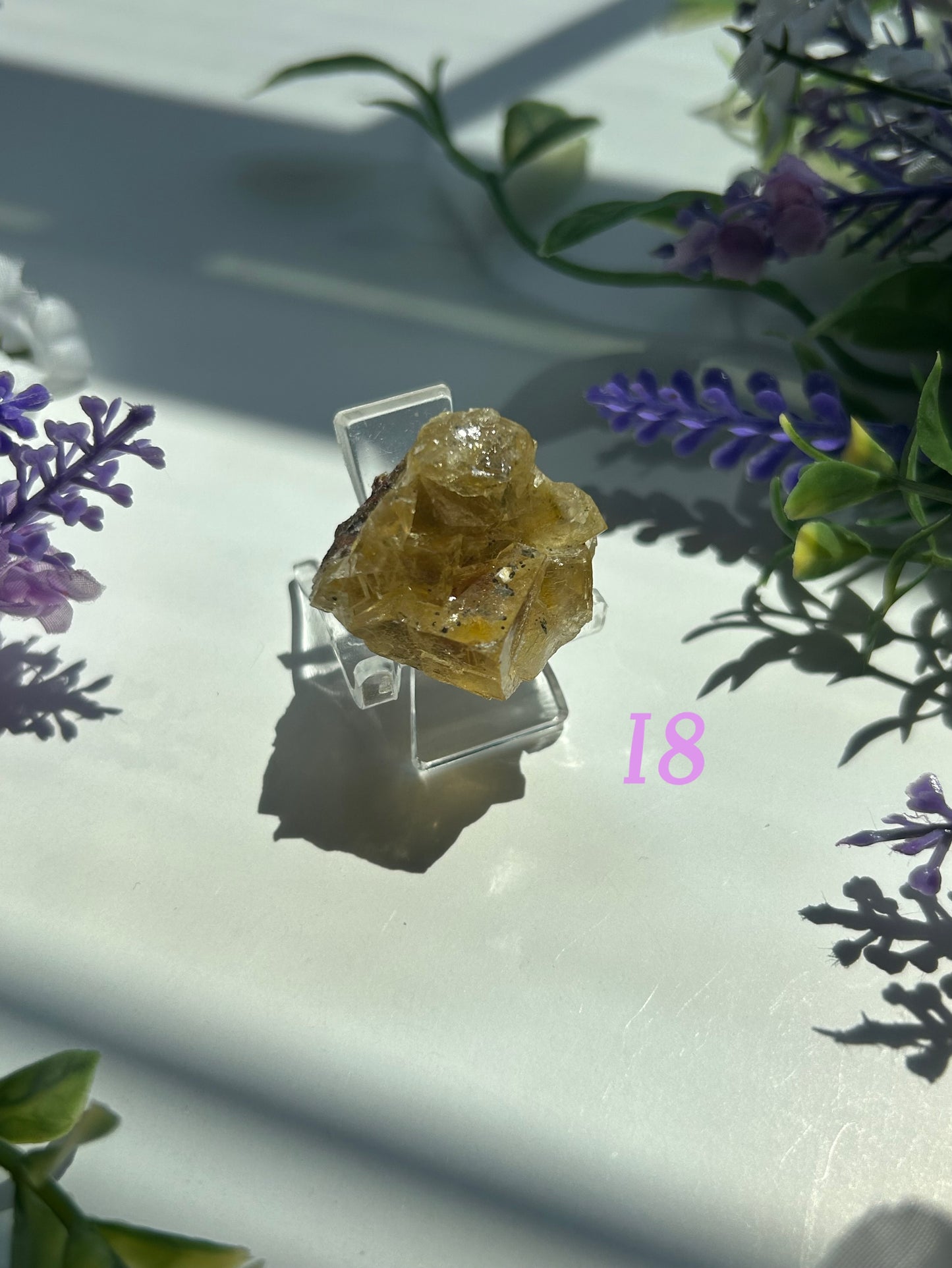 GOLDEN YELLOW FLUORITE SPECIMENS (from the Moscona Mine, Spain)