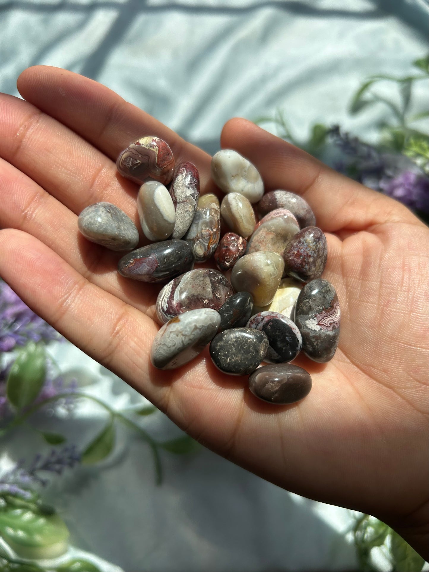 MEXICAN LACE AGATE MINI TUMBLES