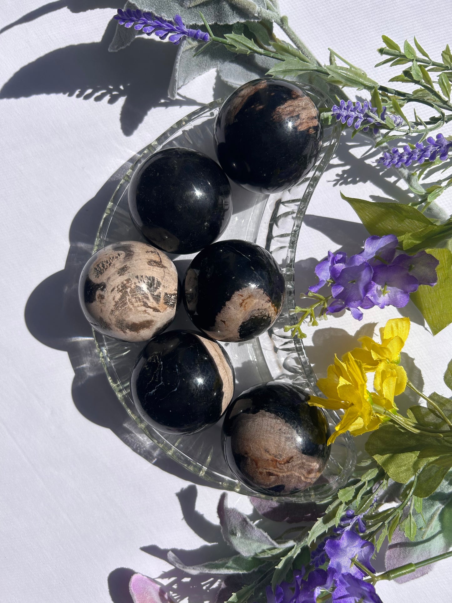 PETRIFIED PALM ROOT SPHERES
