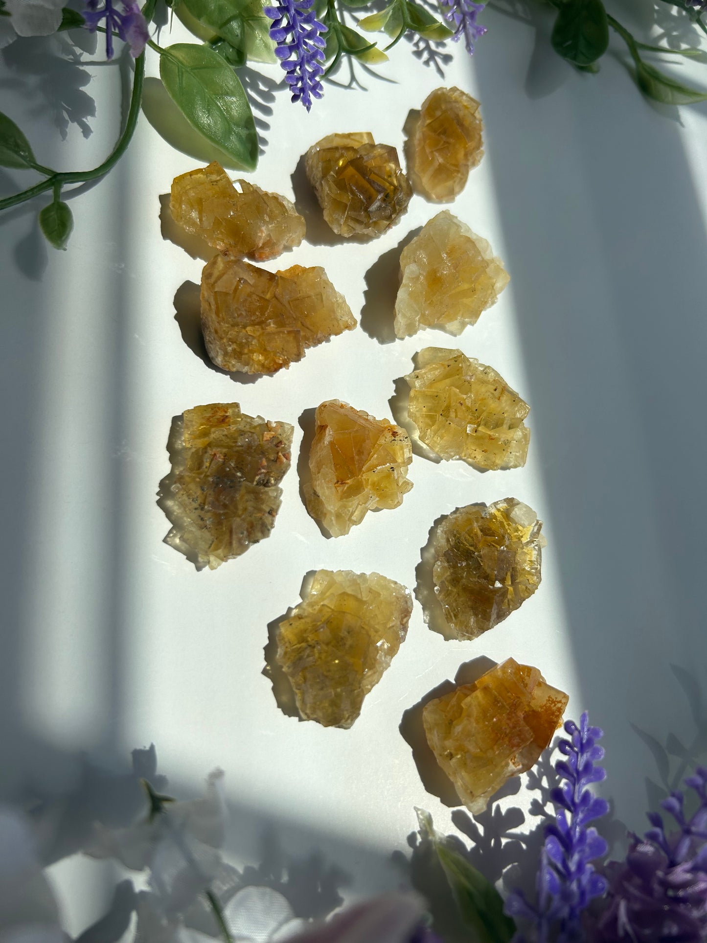 GOLDEN YELLOW FLUORITE SPECIMENS (from the Moscona Mine, Spain)