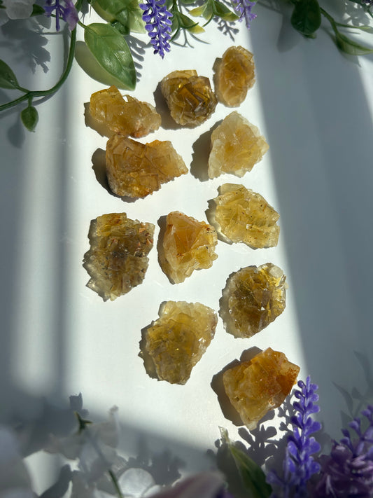 GOLDEN YELLOW FLUORITE SPECIMENS (from the Moscona Mine, Spain)