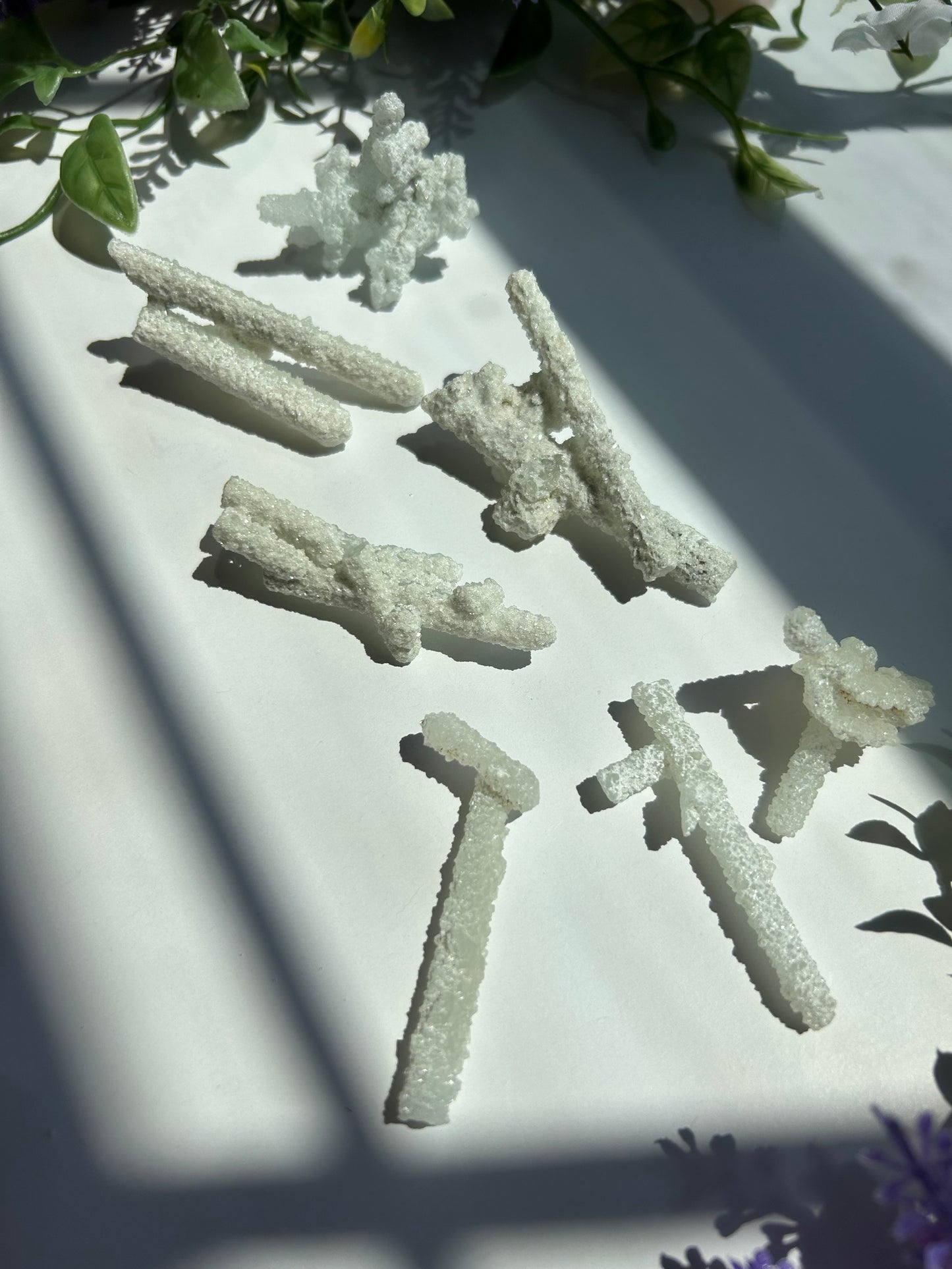 SUGAR PREHNITE SPECIMENS (Mumbai (Bombay) District, Maharashtra, India)