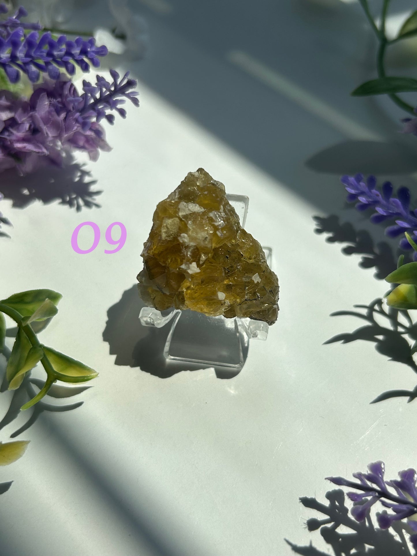 GOLDEN YELLOW FLUORITE SPECIMENS (from the Moscona Mine, Spain)
