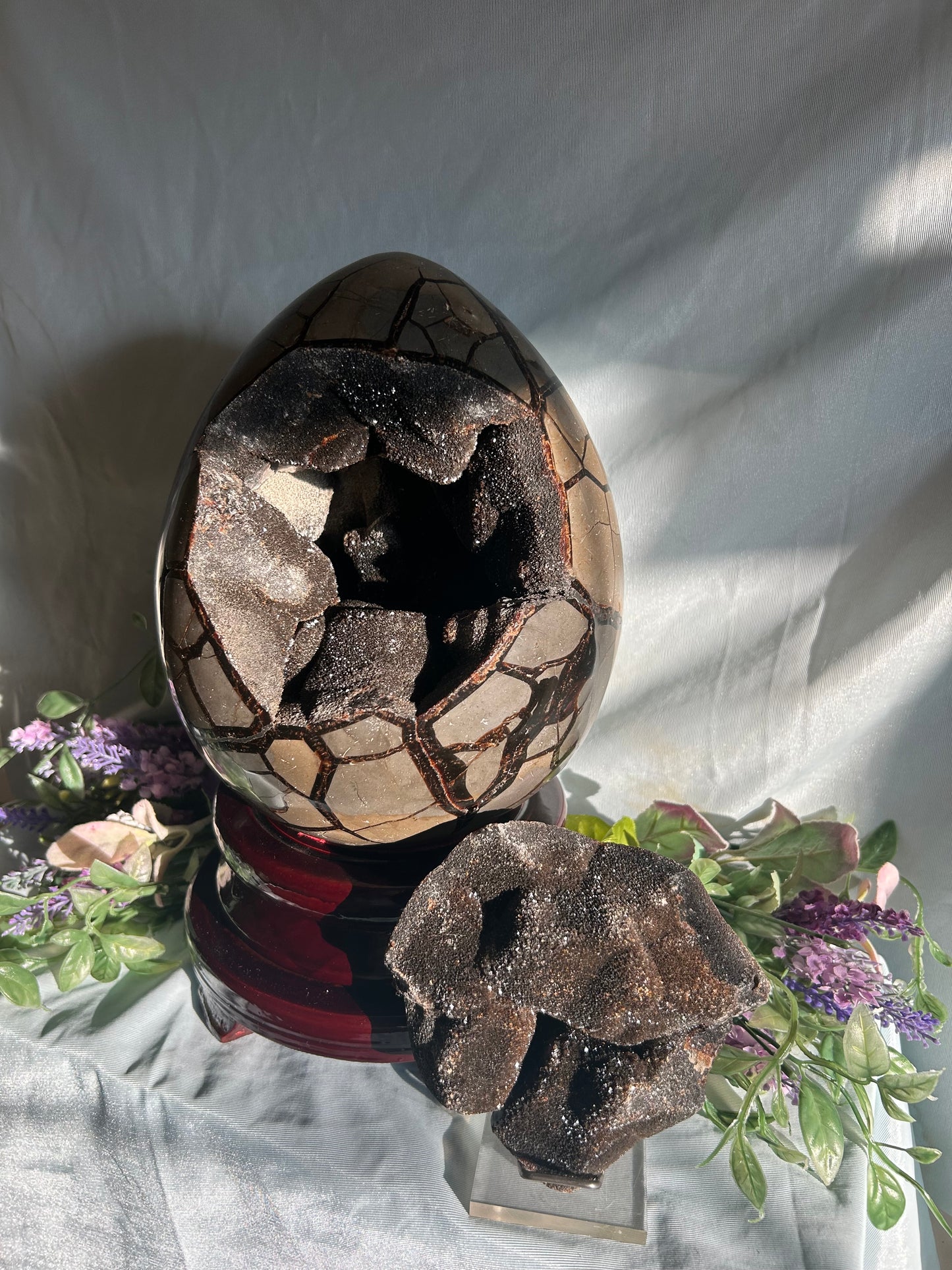 SEPTARIAN DRUZY EGG
