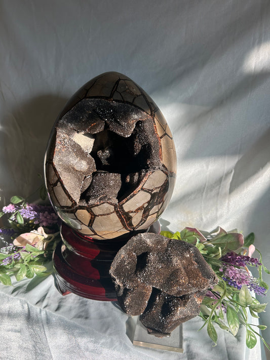 SEPTARIAN DRUZY EGG