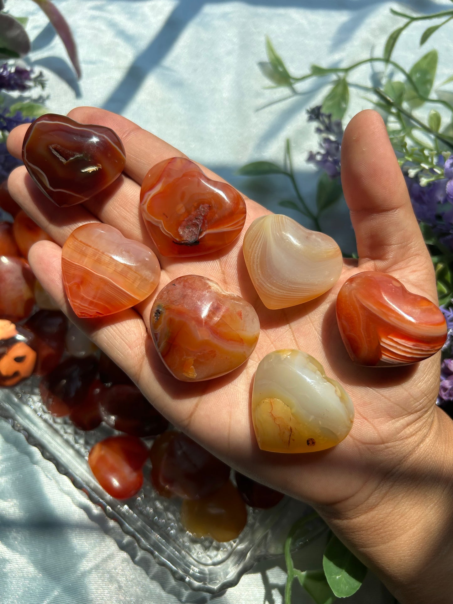 CARNELIAN HEARTS