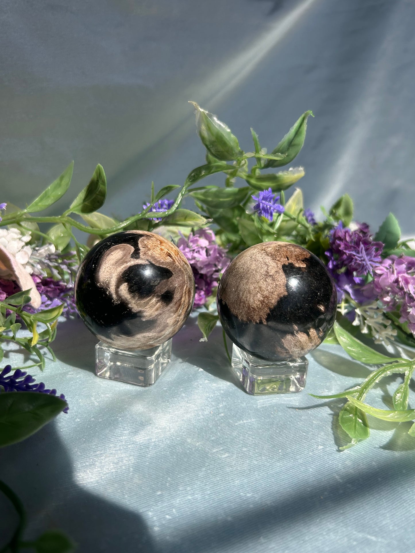 PETRIFIED PALM ROOT SPHERES