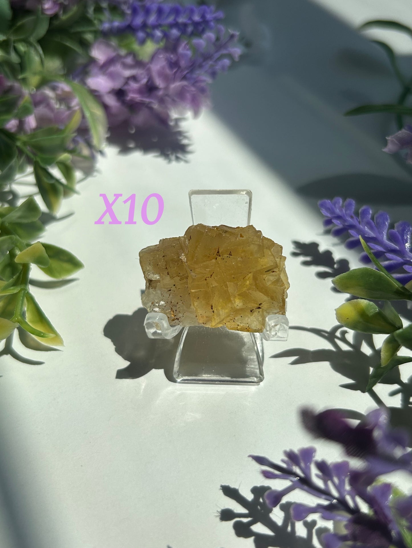 GOLDEN YELLOW FLUORITE SPECIMENS (from the Moscona Mine, Spain)