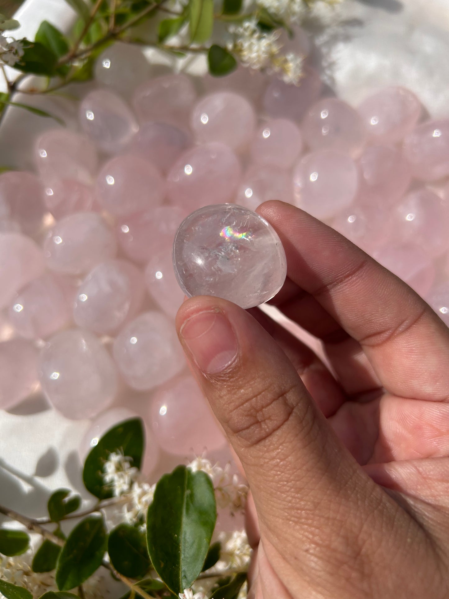 ROSE QUARTZ TUMBLES
