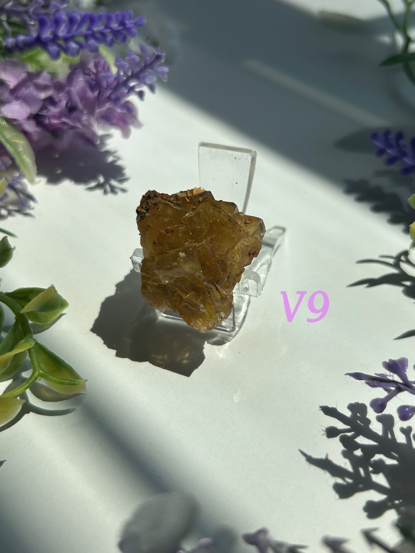 GOLDEN YELLOW FLUORITE SPECIMENS (from the Moscona Mine, Spain)