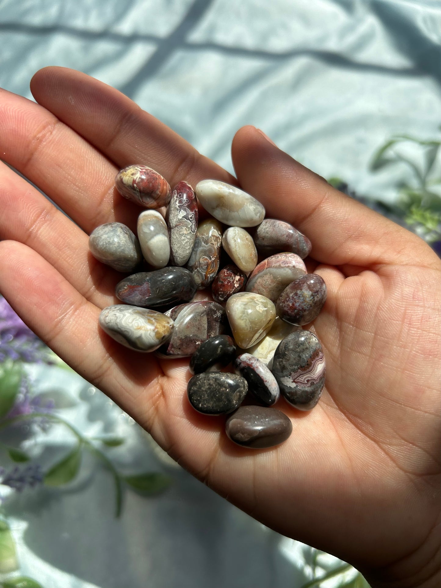 MEXICAN LACE AGATE MINI TUMBLES