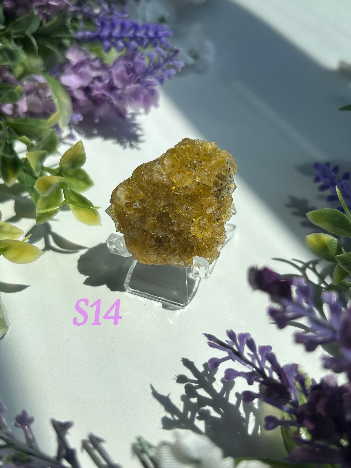 GOLDEN YELLOW FLUORITE SPECIMENS (from the Moscona Mine, Spain)