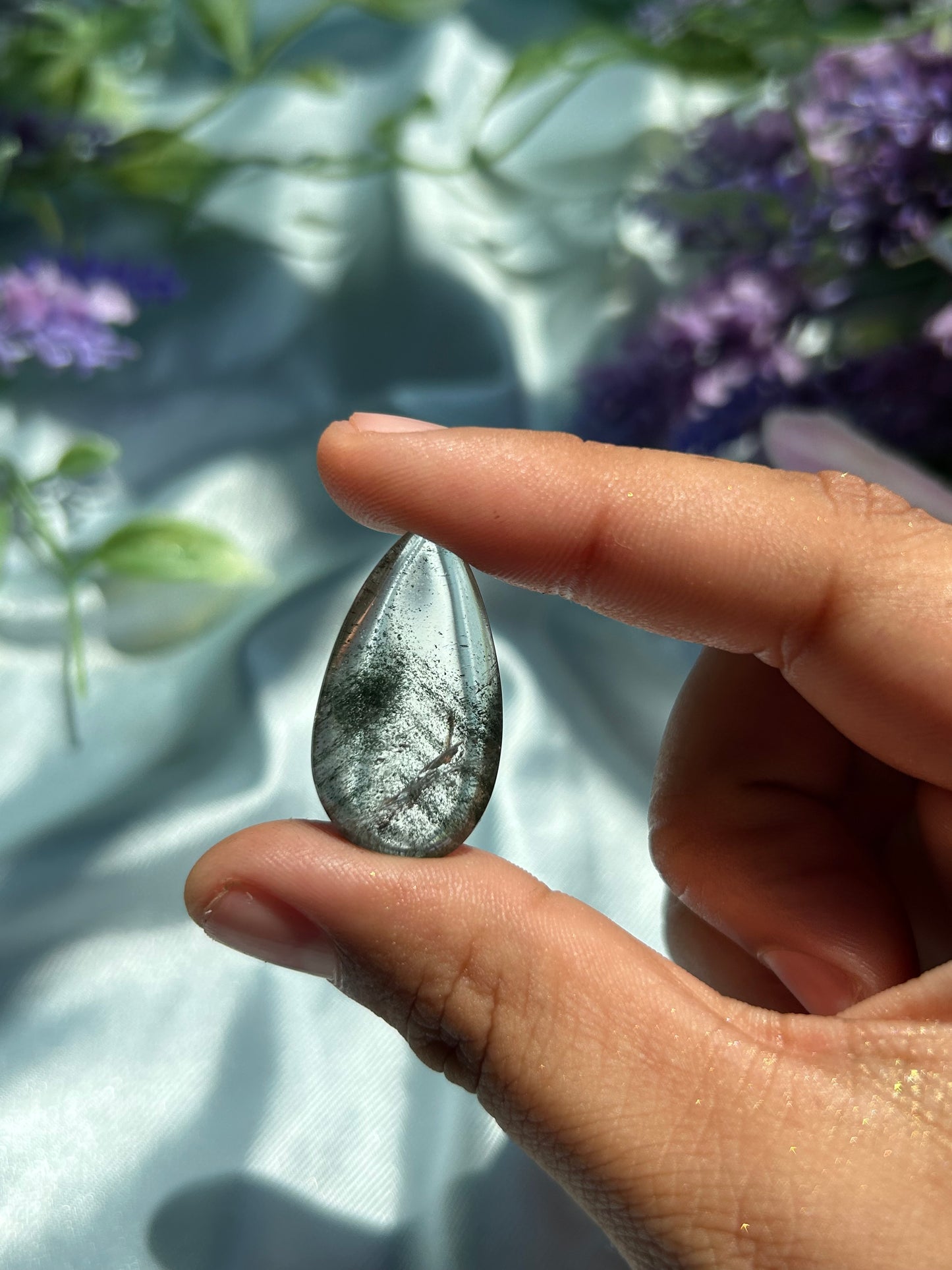 CHRYSALIS•COLLECTION