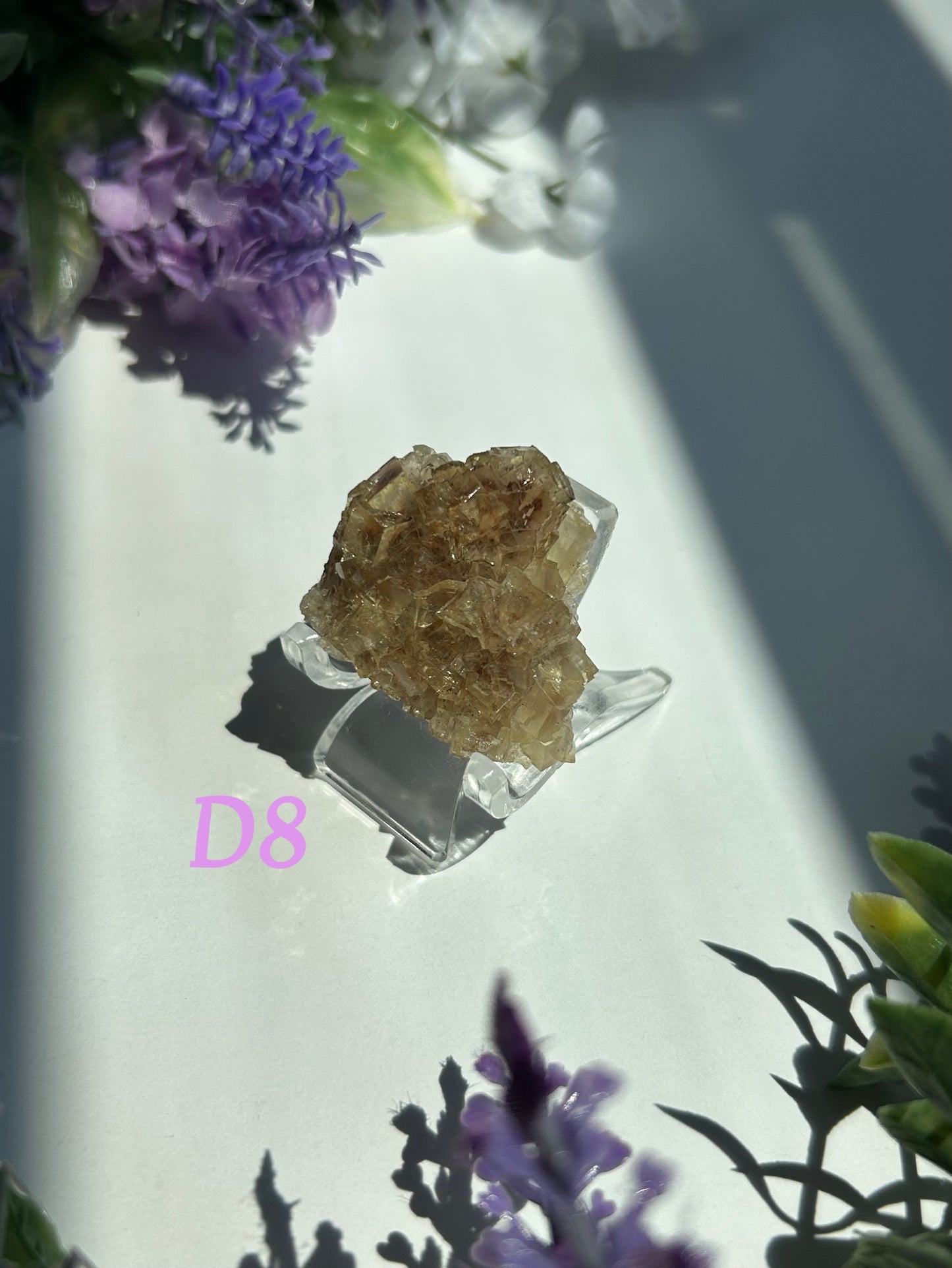 GOLDEN YELLOW FLUORITE SPECIMENS (from the Moscona Mine, Spain)