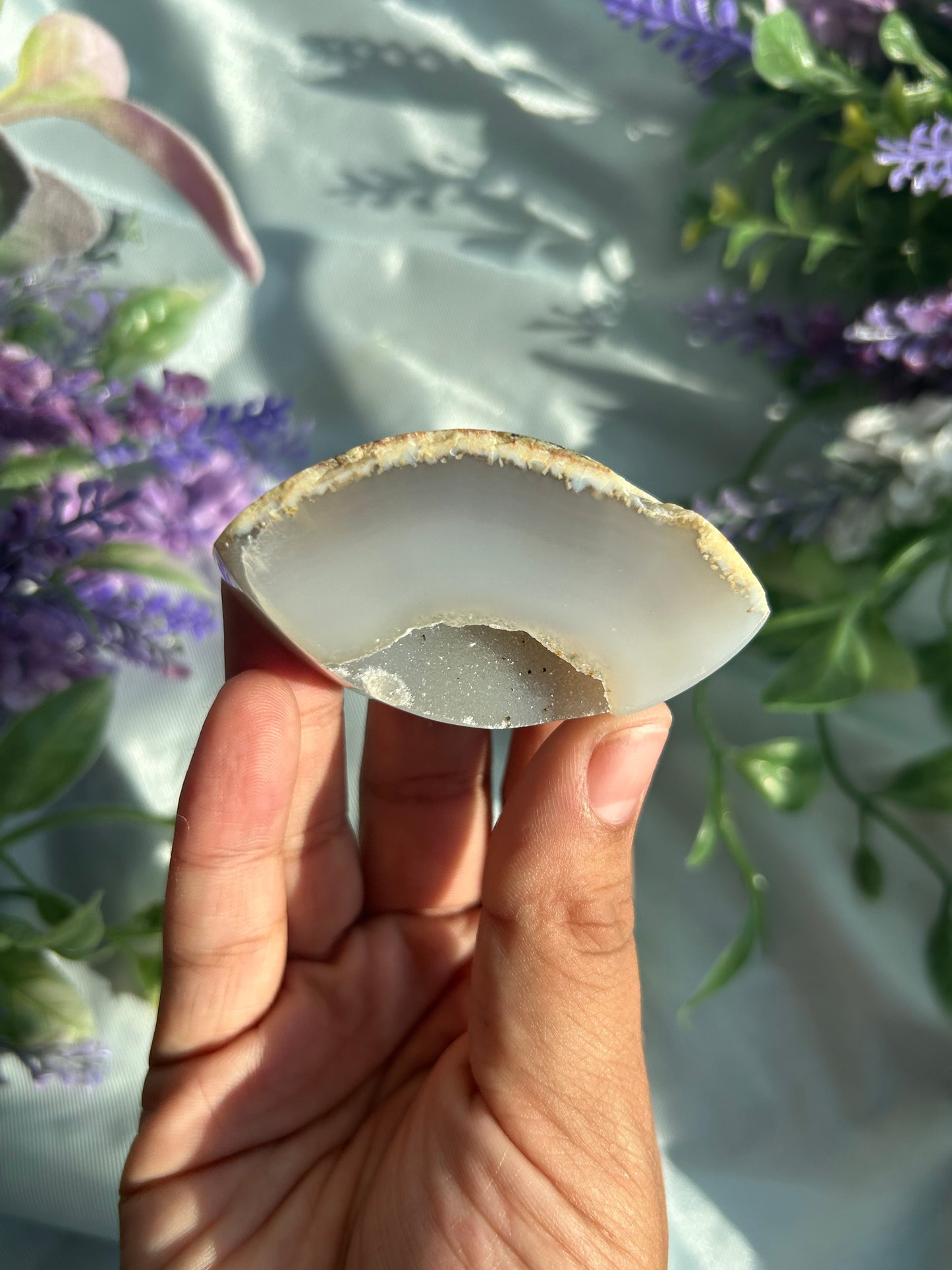 WATER LILLY•COLLECTION