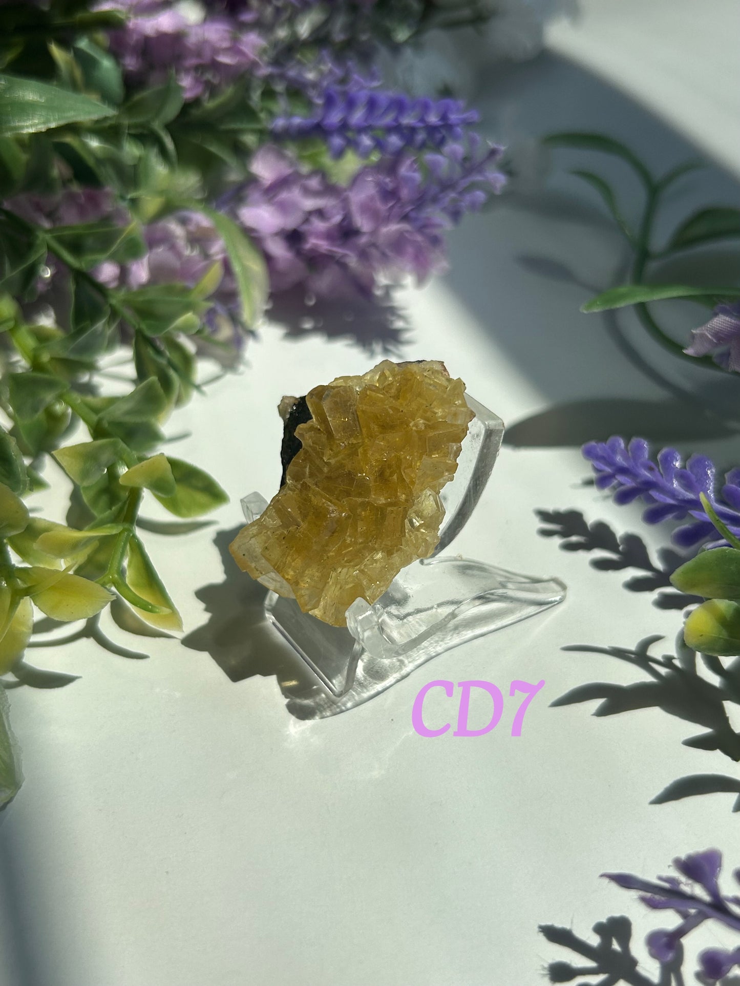 GOLDEN YELLOW FLUORITE SPECIMENS (from the Moscona Mine, Spain)