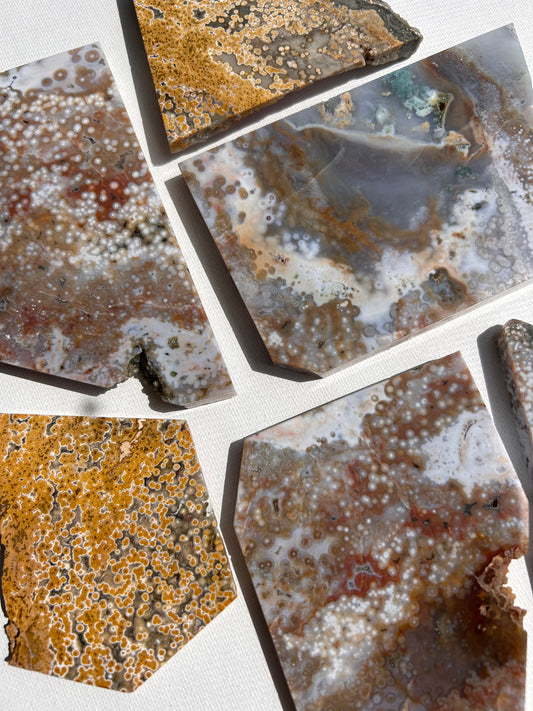 ORBICULAR OCEAN JASPER SLABS