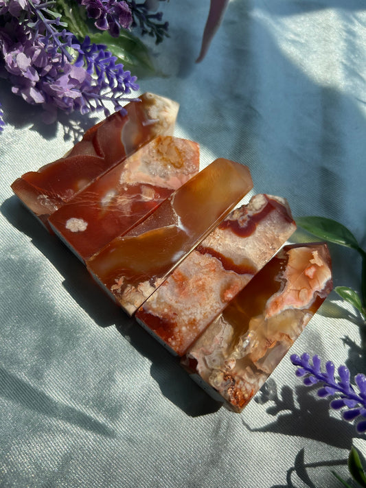 CARNELIAN X FLOWER AGATE TOWERS