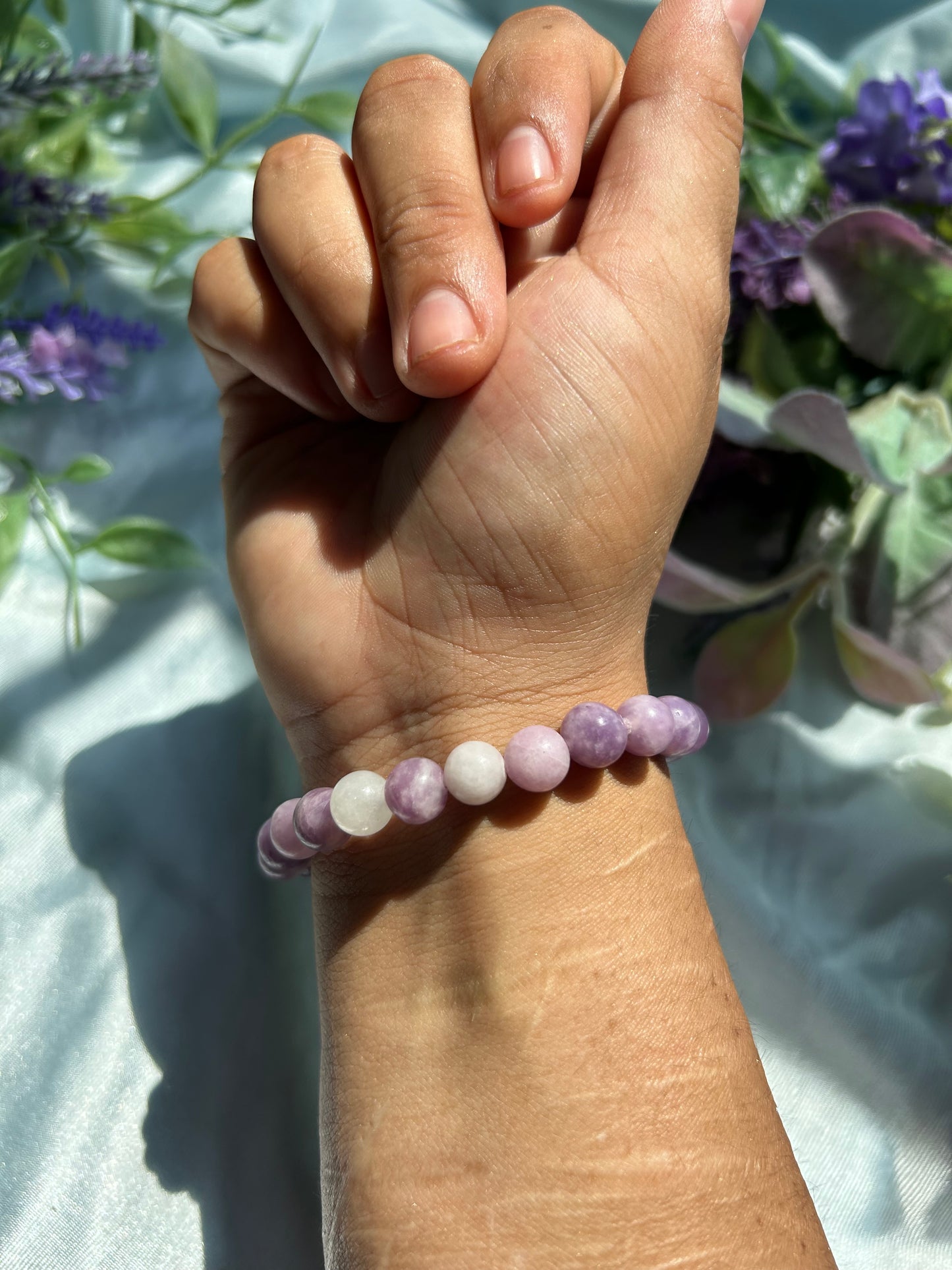 CHRYSALIS•COLLECTION