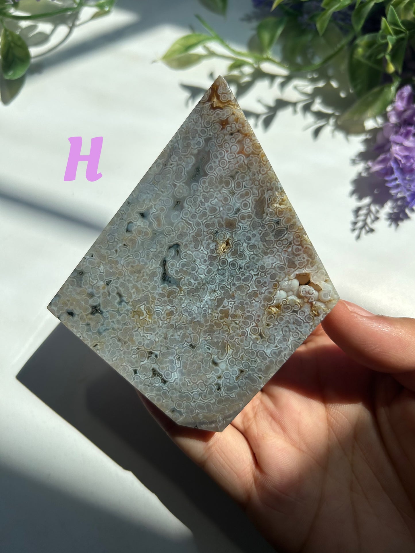 ORBICULAR OCEAN JASPER SLABS