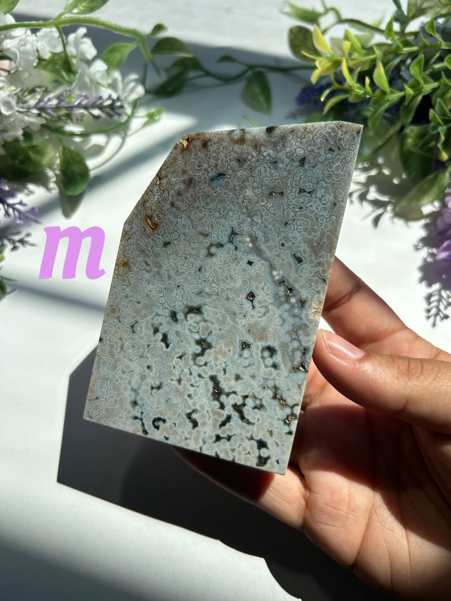 ORBICULAR OCEAN JASPER SLABS