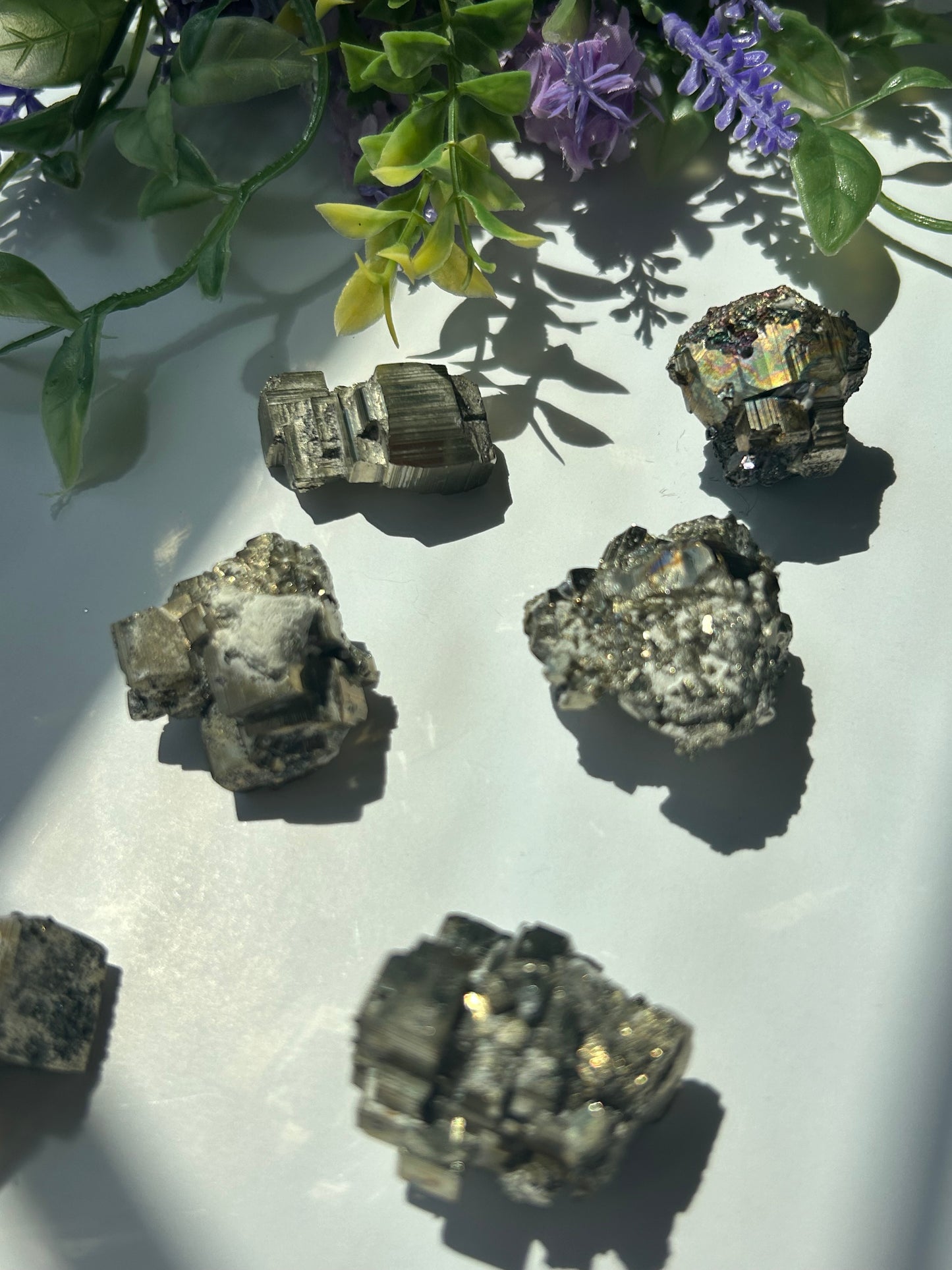 RAW IRIDESCENT PYRITE SPECIMENS (Mexico)