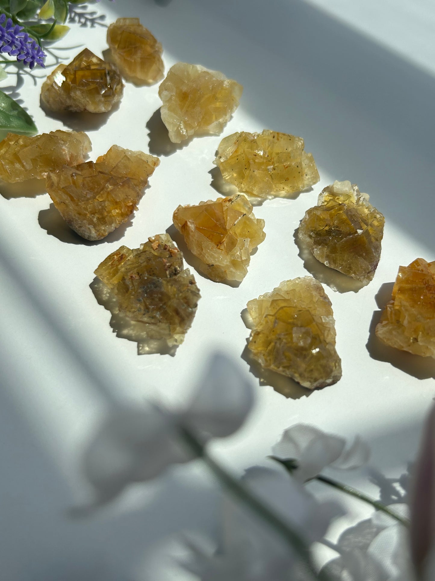 GOLDEN YELLOW FLUORITE SPECIMENS (from the Moscona Mine, Spain)