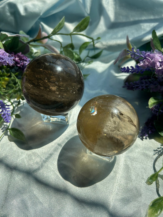 SMOKY QUARTZ SPHERES WITH NATURAL CITRINE